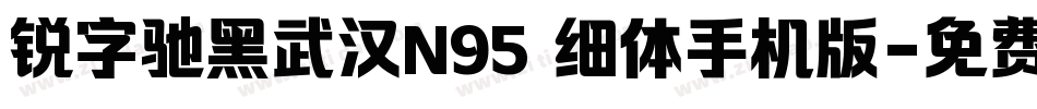 锐字驰黑武汉N95 细体手机版字体转换